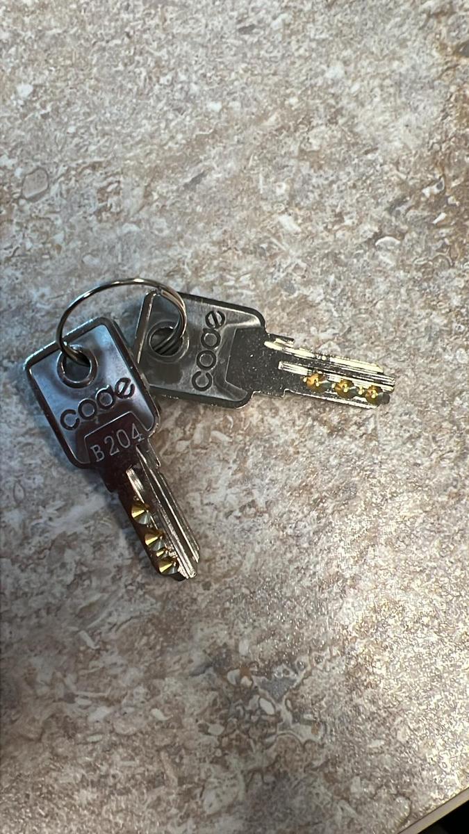 Two freshly cut keys on a ring